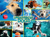 Buffalo Games Underwater Dogs 1000 Piece Jigsaw Puzzle - Multi Color, Paper Material, Model 12603