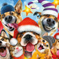 Ceaco - Selfies Christmas - Cats And Dogs - 550 Piece Jigsaw Puzzle