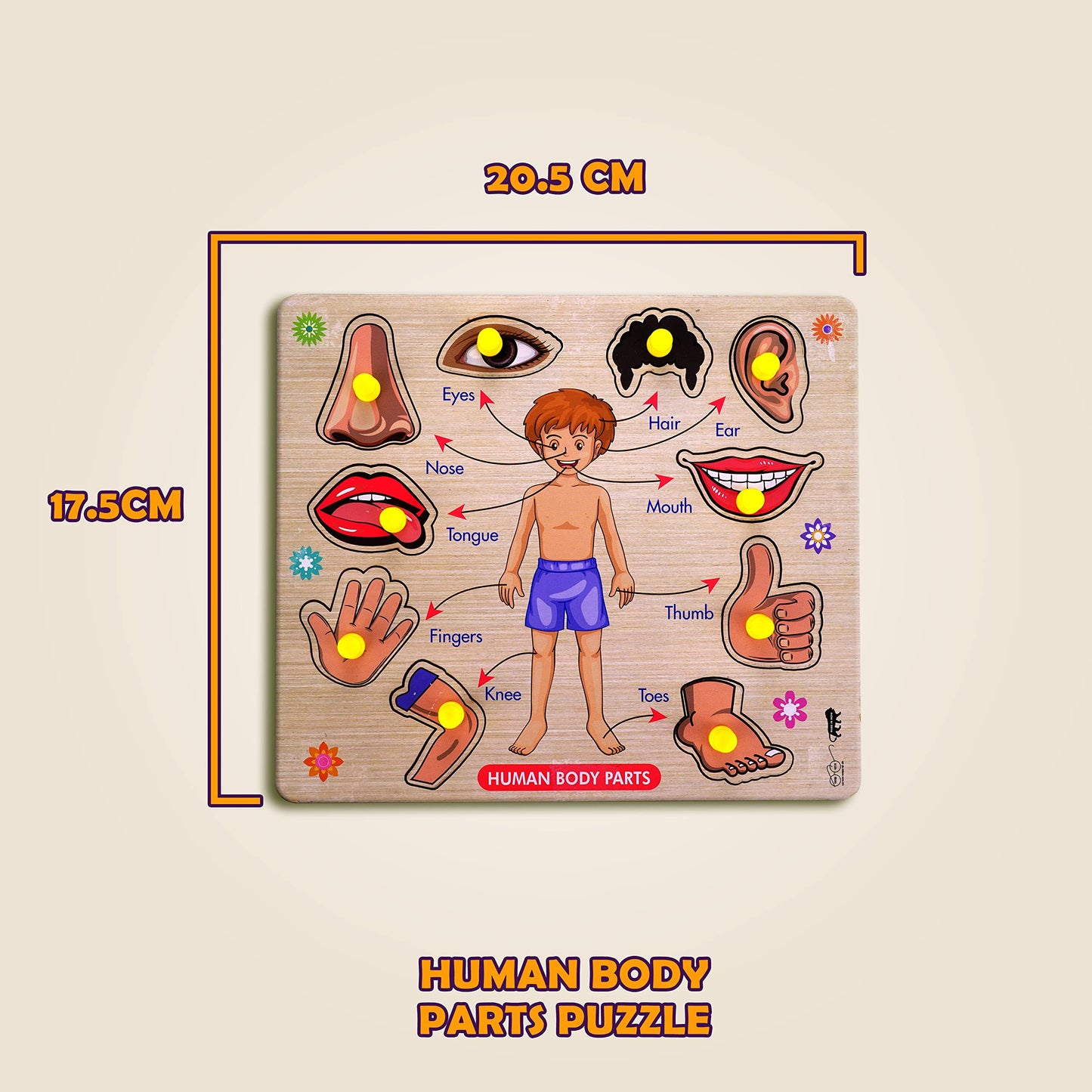 Lefan Wooden Puzzles Wooden Human Body Parts Puzzle Educational Anatomy Toy For Kids Educational Montessori Learning Puzzle For
