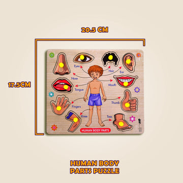 Lefan Wooden Puzzles Wooden Human Body Parts Puzzle Educational Anatomy Toy For Kids Educational Montessori Learning Puzzle For