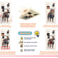 Wooden slide puzzles block (Lion)