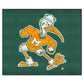 FANMATS 5065 Miami Hurricanes Tailgater Rug - 5ft. x 6ft. Sports Fan Area Rug, Home Decor Rug and Tailgating Mat - Sebastian the
