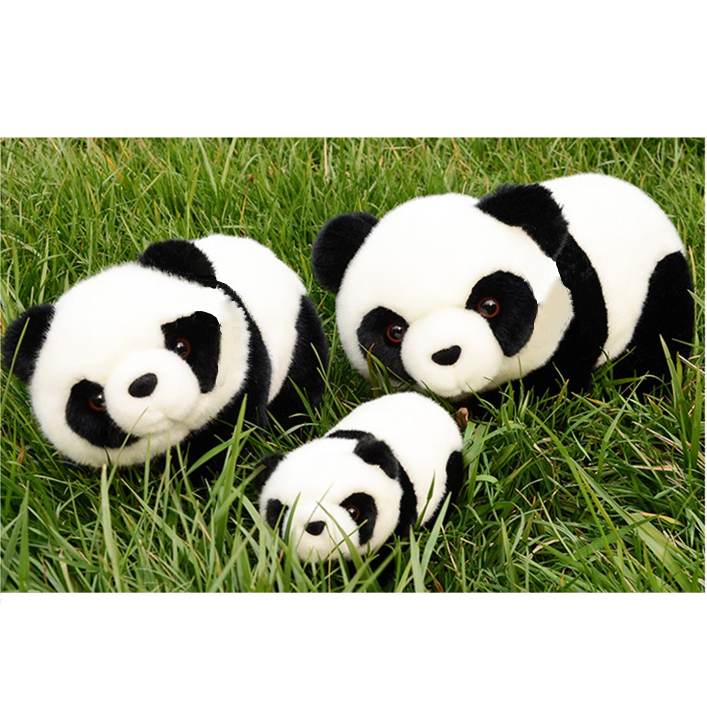 Lazada Stuffed Animal Panda Bear Baby Girl Gifts Panda Toys 6.5'
