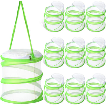 Sherr 10 Pcs Mini Butterfly Habitat Cage Mesh Butterfly Cage Butterfly Net Cage Clear Butterfly Container Foldable Butterfly Ter