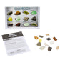 Educational Insights Complete Rock, Mineral, and Fossil Collection - 57 Pieces, Large, Multi, Model 5210, Ages 8+