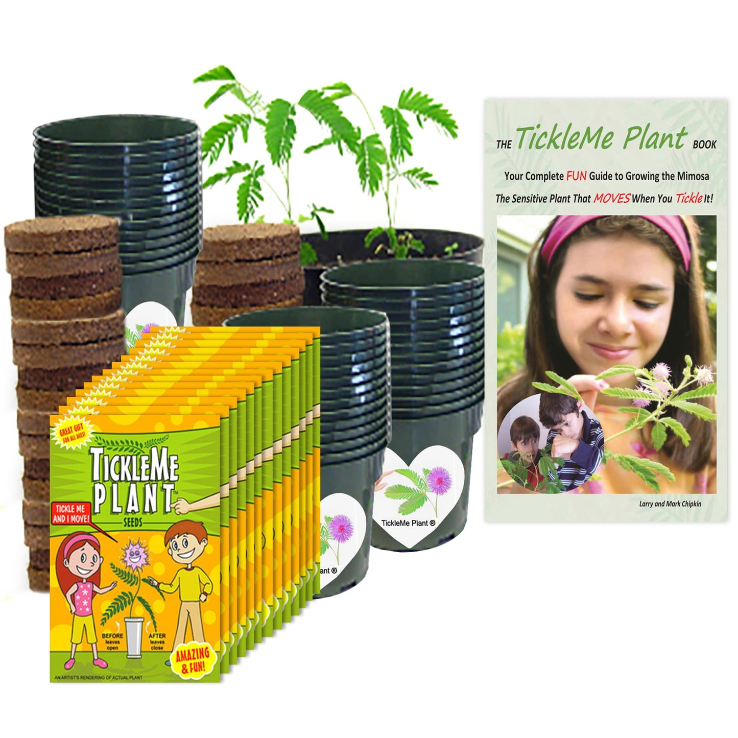 TickleMe Plant Classroom or Homeschool Science Fun Planting Party Kit - for 30 Students - Grow a Sensitive Plant That Reacts to 