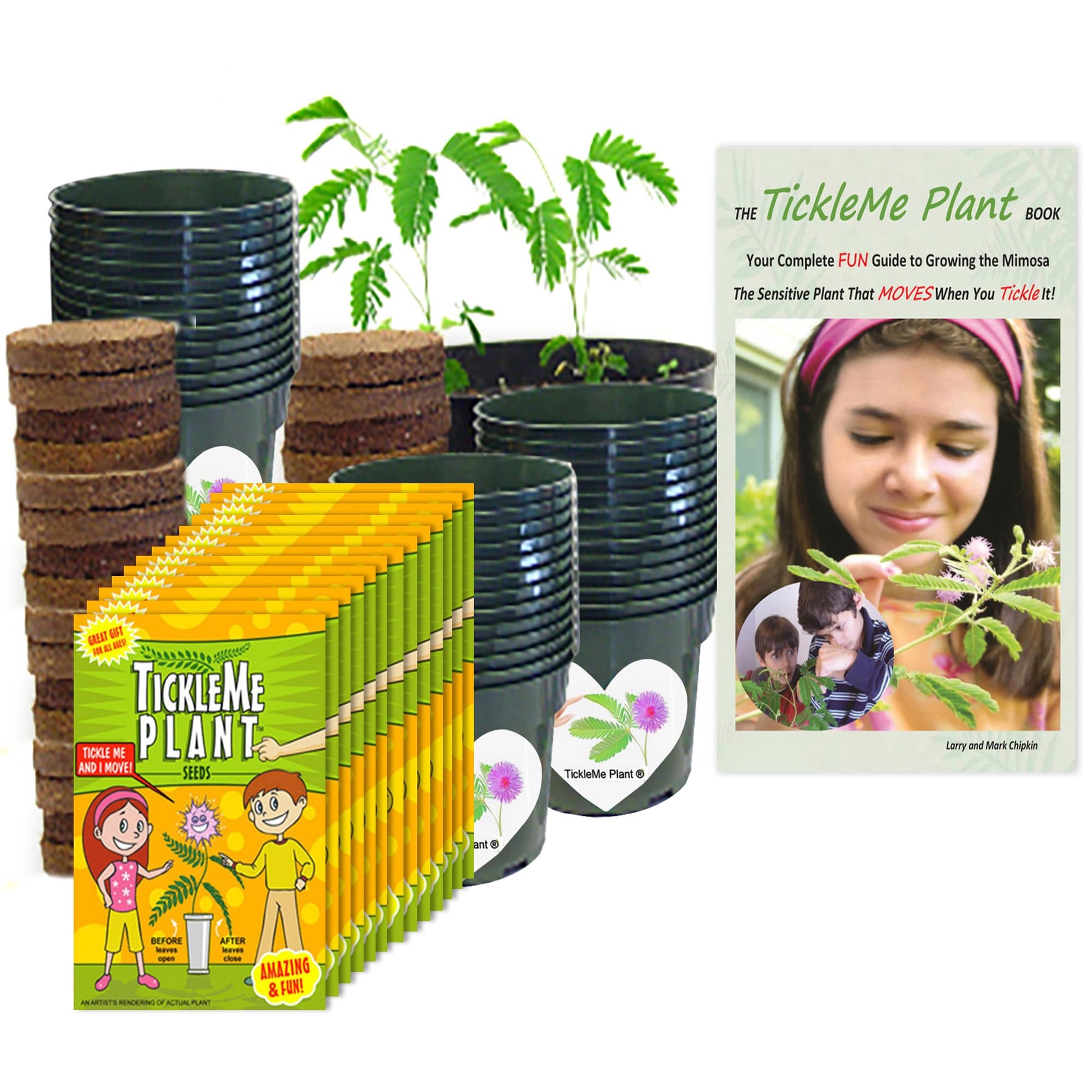 TickleMe Plant Classroom or Homeschool Science Fun Planting Party Kit - for 30 Students - Grow a Sensitive Plant That Reacts to 