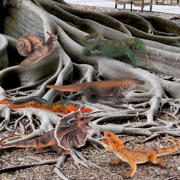 Wonwontoys Reptiles Toys For Kids Lizard Toy Forest Animals Wildlife Toy Set Snail Centipede Table Decorations Christmas Scene Decoration Children'S Cognitive Toys For Boys Girls