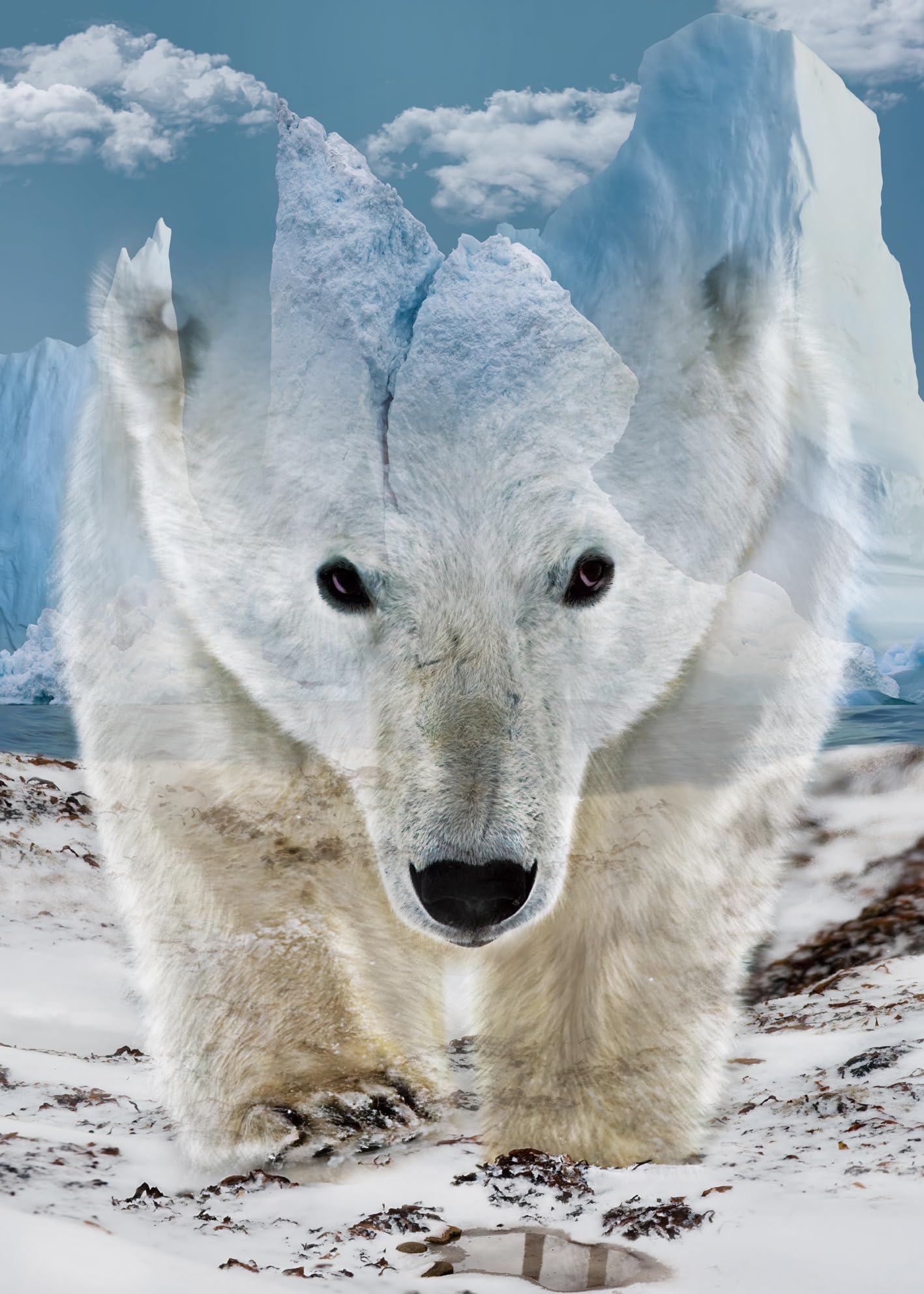 Animal Bear Jigsaw Puzzle for mature-themed 1000 Piece  Challenging Impossible Difficult Hard Puzzles for mature-themed  Nature Wildlife Hunting Puzzle 1000 Pieces