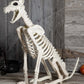 Crazy Bonez Skeleton Dog - Badger Bonez