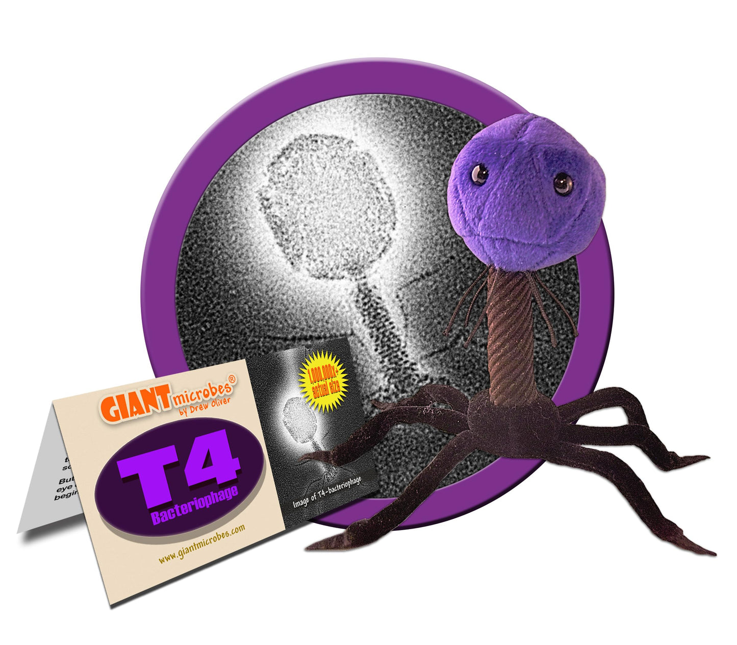 GIANT MICROBES T4 Bacteriophage Plush Toy - 5-inch Purple Soft Toy, Model GMD0735