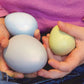 SIZESORTING EGGS