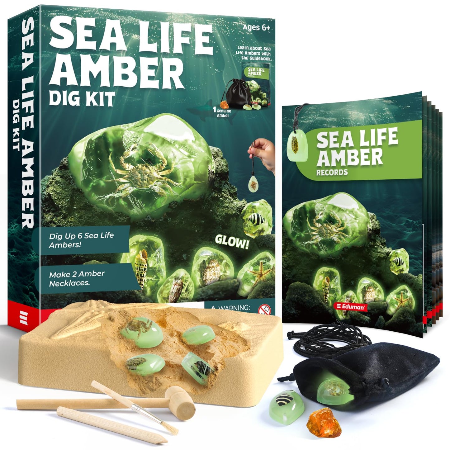 EDUMAN Amber Dig Kit-6 Artificial Sea Life Resin Specimens  Glow in The Dark Oceanlife Fossil Excavation Set  STEM Inspired Educational Toy for Kids Ages 6-12  for Boys & Girls