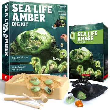 EDUMAN Amber Dig Kit-6 Artificial Sea Life Resin Specimens  Glow in The Dark Oceanlife Fossil Excavation Set  STEM Inspired Educational Toy for Kids Ages 6-12  for Boys & Girls