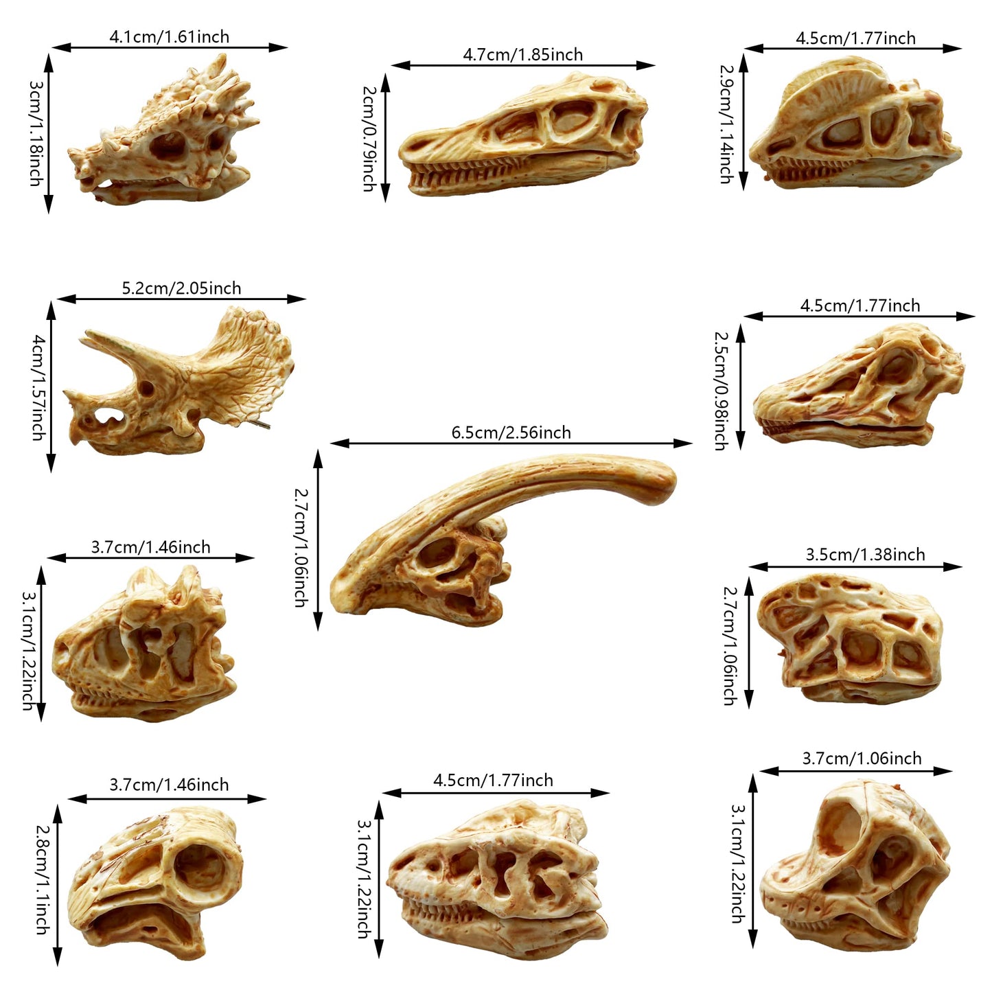 Ppxmeeudc 35Pcs Dinosaur Fossil Skeleton Dinosaur Skeleton Toys Dino Sand Dig Party Favor Decorations