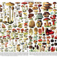 New York Puzzle Company 1000-Piece Jigsaw Puzzle - Vintage Mushrooms by Adolphe Philip Millot, Cardstock