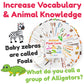 Animal Flash Cards For Toddlers & Kids - Animal Abc Flashcards - Animal Alphabet - 101 Toddler Flashcards - Preschool Flash Card