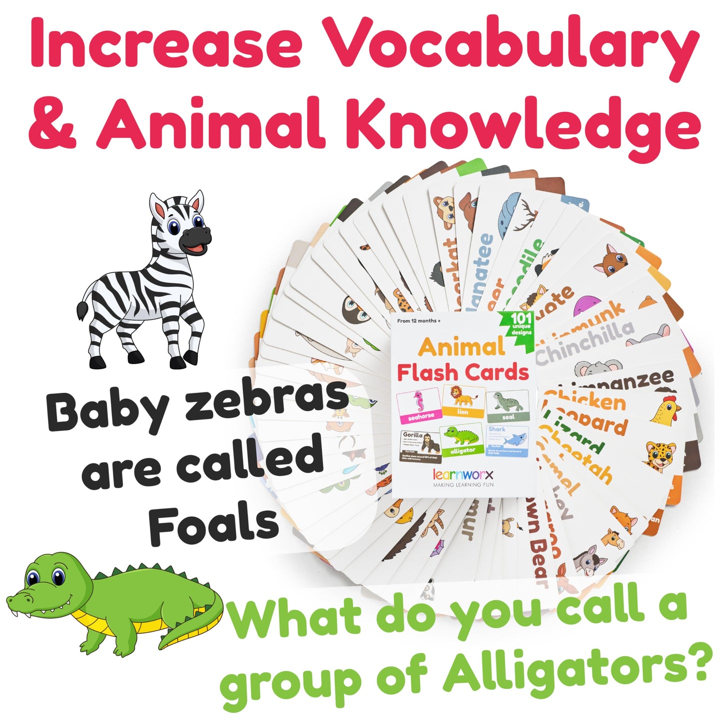 Animal Flash Cards For Toddlers & Kids - Animal Abc Flashcards - Animal Alphabet - 101 Toddler Flashcards - Preschool Flash Card