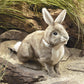 Folkmanis Cottontail Rabbit Hand Puppet Brown, 1 Ea