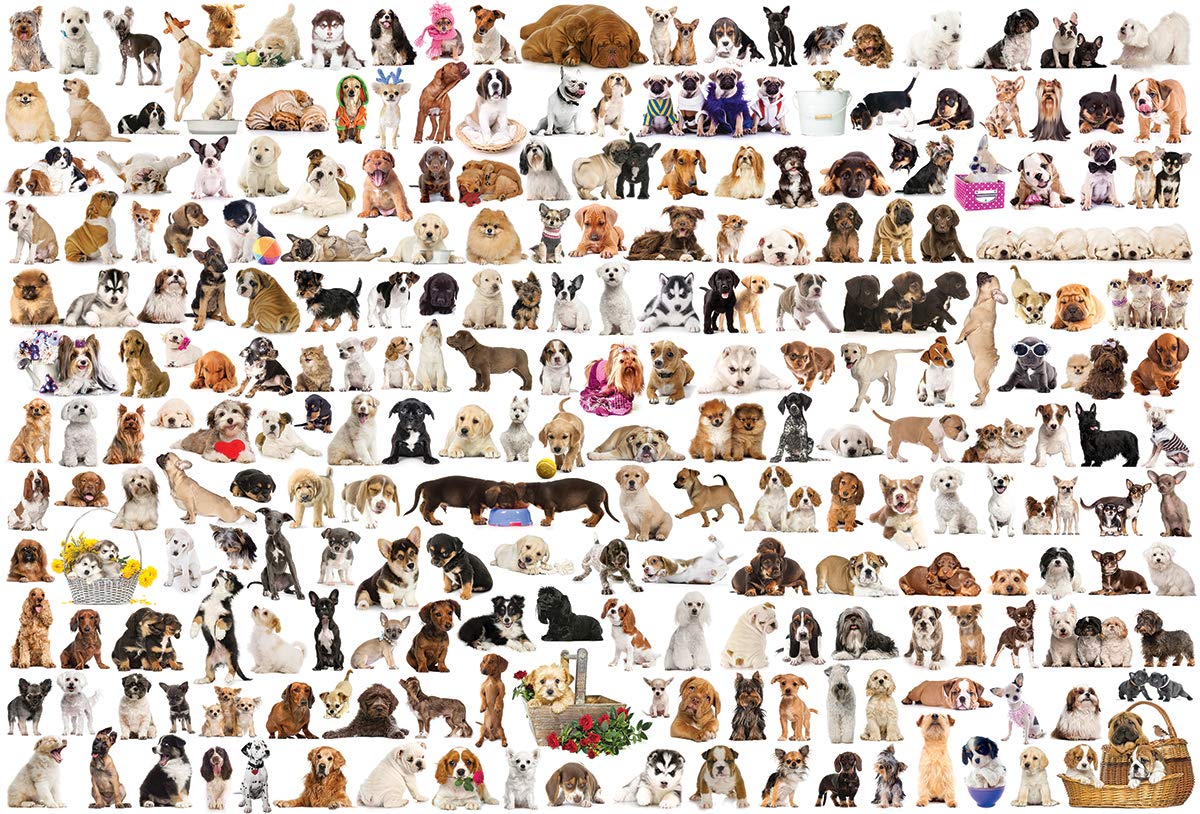 Eurographics The World Of Dogs Puzzle (2000-Piece)
