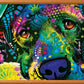 Masterpieces 300 Piece EZ Grip Jigsaw Puzzle - Cold Wet Nose - 18x24