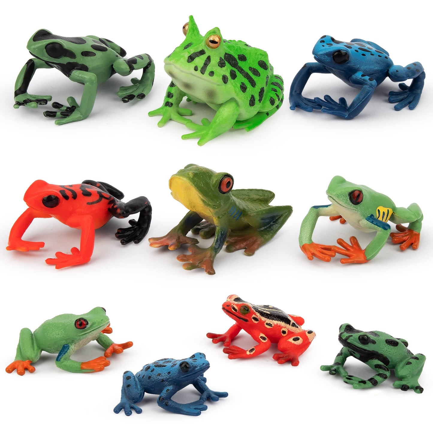 Toymany 10pcs Frog Toy Figures Set - Realistic Plastic Rainforest Woodland Animals, Cake Topper, Party Favor, Garden Decor