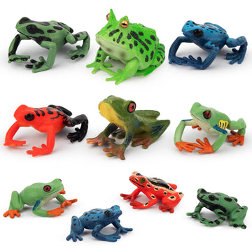 Toymany 10pcs Frog Toy Figures Set - Realistic Plastic Rainforest Woodland Animals, Cake Topper, Party Favor, Garden Decor