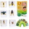 Insect Specimen Set, Bugs Collection Scientific Education Gift For Kids Aged 3-8-12 (Cicada, Wasp, Spider, Scorpion, Locust, Cha