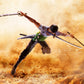 TAMASHII NATIONS - One Piece - Roronoa Zoro -Romance Dawn-  Bandai Spirits S.H.Figuarts Action Figure