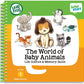 Jumping Toad Language Learners