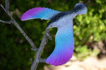 Balancing Bird Toy 6.5 Inch Wing Span-Colors May Vary By C&H Solutions
