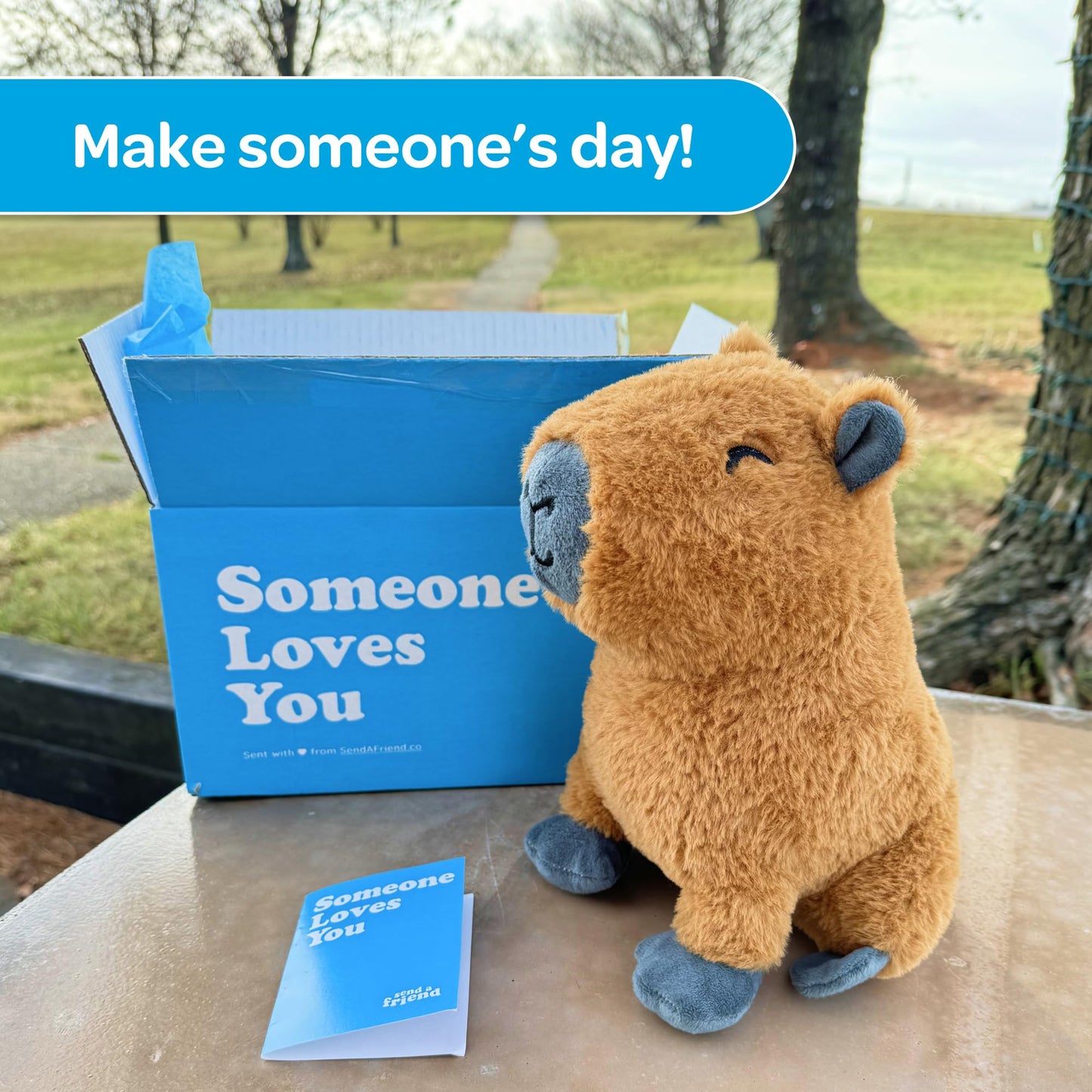 SendAFriend Crouton Capybara Stuffed Animal Care Package, Brown, 10" Polyester, Great Gift for Any Reason