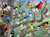 Buffalo Games 1000 Piece Jigsaw Puzzle - Hautman Brothers Birds in an Orchard - Large Multicolor Paper Puzzle
