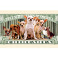 American Art Classics Chihuahua Million Dollar Novelty Bill Collectible - Collectible Novelty Million Dollar Bill In Currency Holder - Fun Gift For Chihuahua Lovers