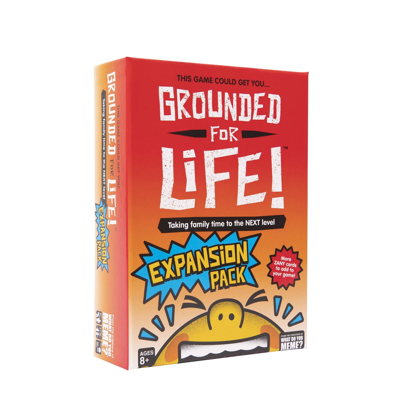 WHAT DO YOU MEME? Grounded for Life Expansion Pack - Kid Game, Medium Size, Multicolor, Model GFLEXP314, Ages 8+