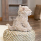 Demdaco Chorkie Mix Rescue Breed Dog Soft Brown 10 Inch Plush Fabric Stuffed Figure Toy