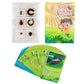 Insect Specimen Set, Bugs Collection Scientific Education Gift For Kids Aged 3-8-12 (Millipede, Centipede, Dragonfly Larvae, Tea