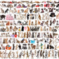 The World Of Cats