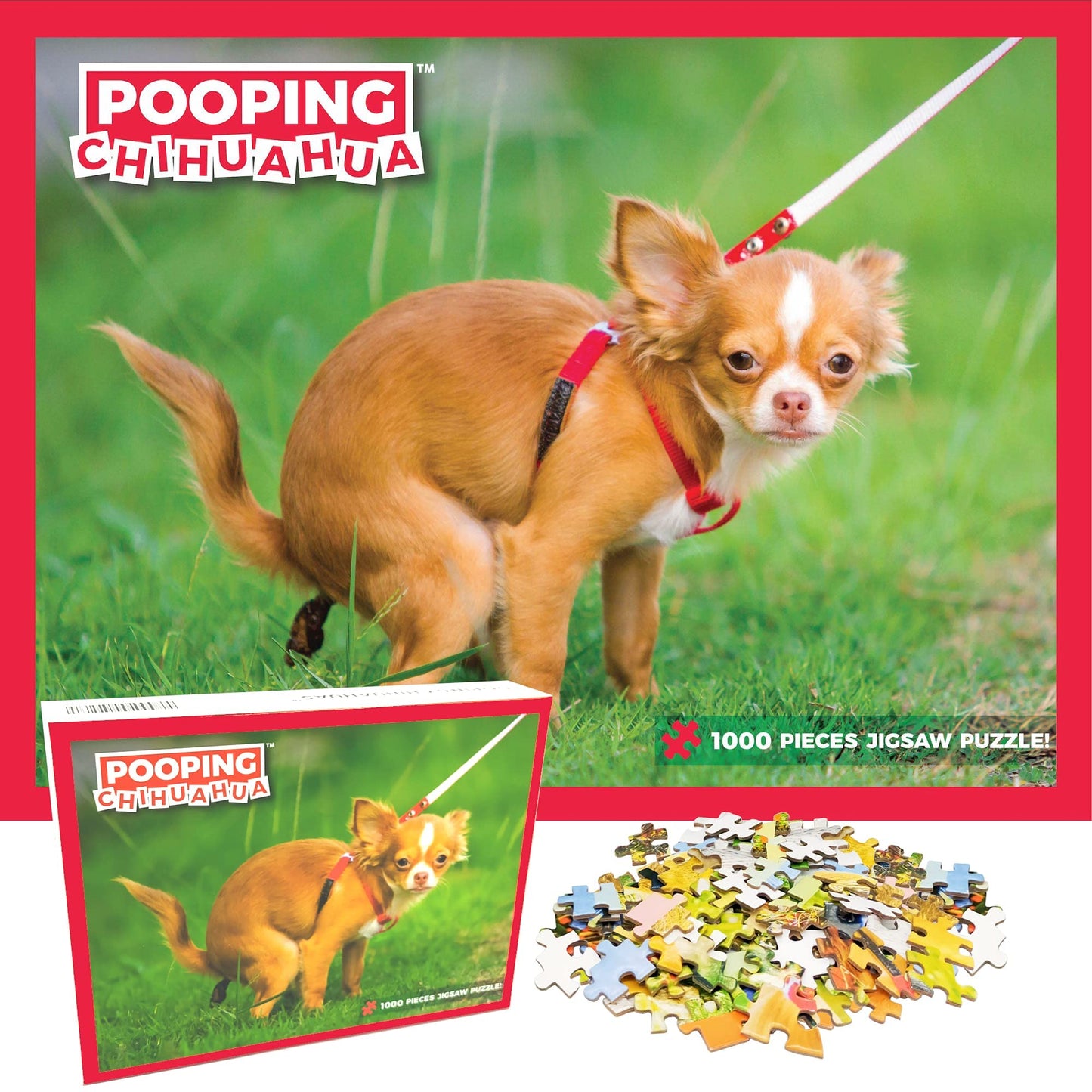 Better Me Pooping Chihuahua 1000 Piece Puzzle - Humorous Dog Puzzle for Adults, 50cm x 70cm, Perfect for Dog Lovers and Fun Pranks