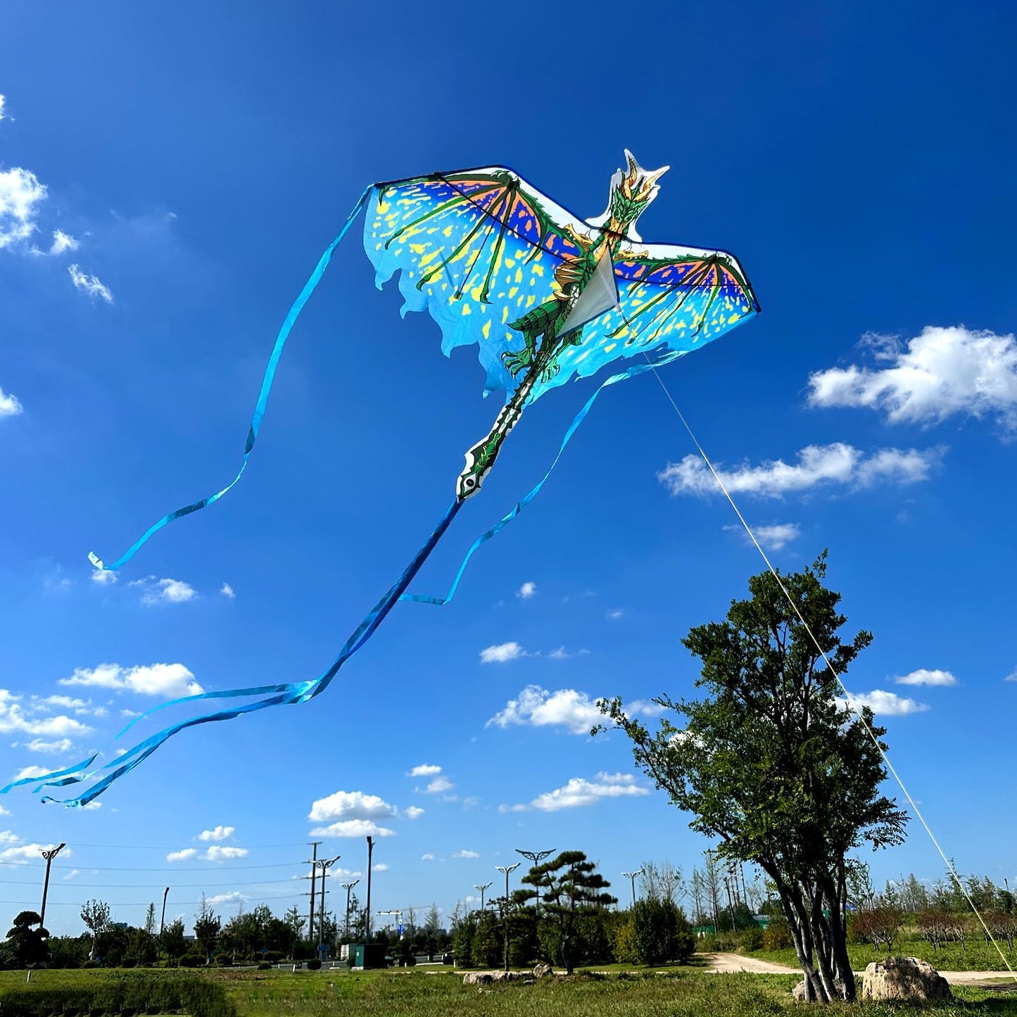 Mint'S Colorful Life Dragon Kite For Kids & Adults, Easy To Fly Kite For Beginners,Large Single Line Kite For Beach Trip With 300Ft Kite String(Green)