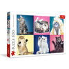 Trefl 500 Piece Jigsaw Puzzles  Kittens