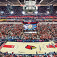 Masterpieces 1000 Piece Sports Jigsaw Puzzle - Ncaa Louisville Cardinals Basketball Court Panoramic - 13'X39'