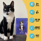 Ginger Fox Cat Chaos Card Swapping Family Fun Game. Get The Family Together On Games Night To Play This Fast-Paced Quick-Play Ac