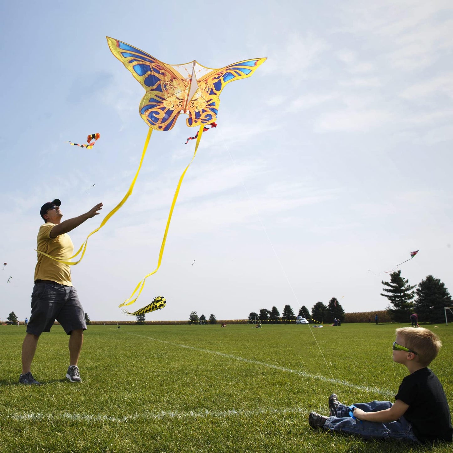 Mint'S Colorful Life Golden Mechanical Butterfly Kite For Kids & Adults Easy To Fly, Large Single Line Kites For The Beach With 300 Ft String Kite Handle