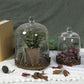 12' Tall Large Sturdy Handmade Glass Cloche Dome With Metal Base 11.4' H X 8' And 8' H X 5.5' In Set Of 2 In Gold For Plant, Terrarium, Collectibles, Candle. Cloche Glass Dome, Bell Jar Display Case