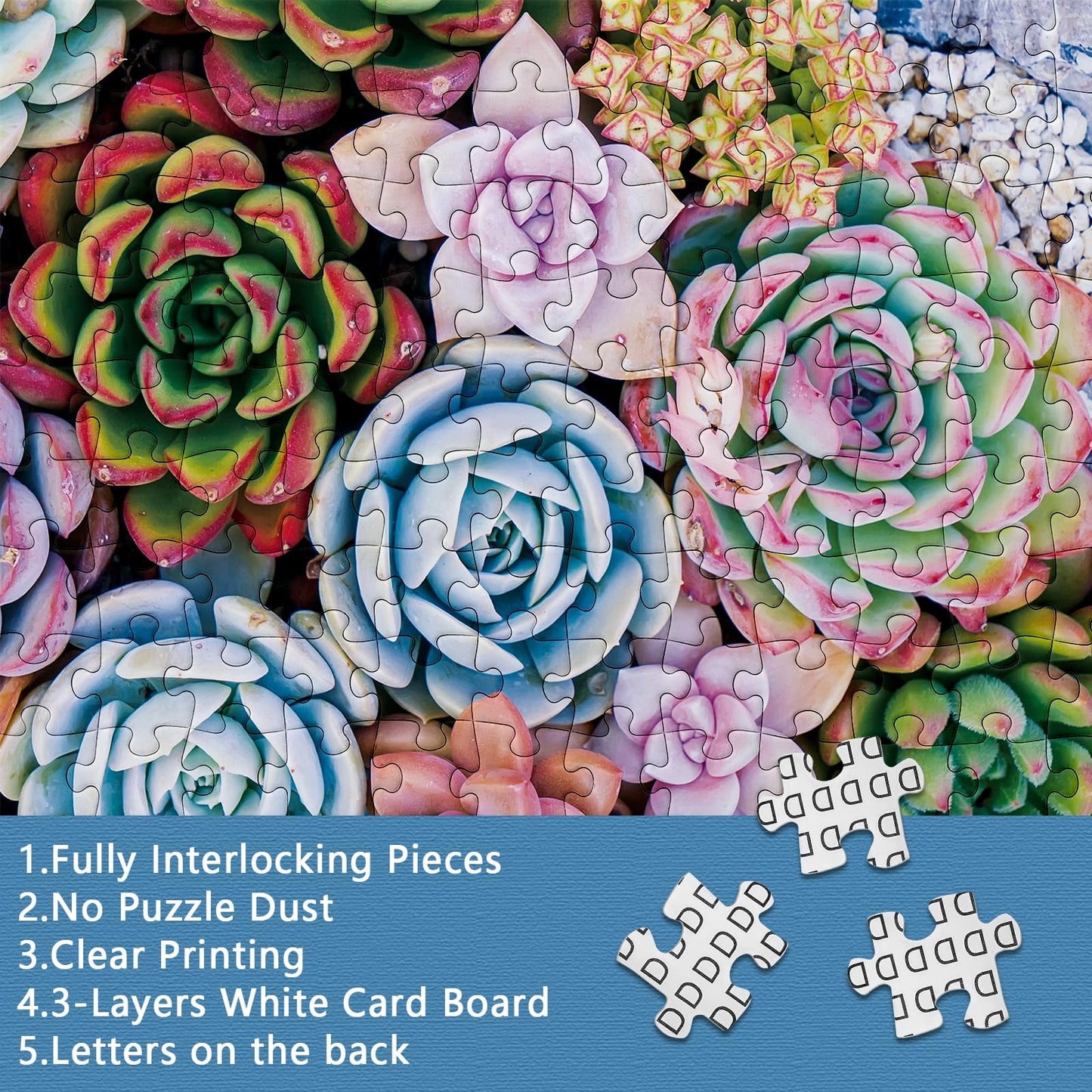 Buhah Succulent Jigsaw Puzzles Plant Puzzle 1000 Pieces For Adults Colorful Jigsaw Puzzles Botanical Puzzle Nature Collage Puzzl
