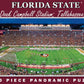 Florida State Seminoles Ncaa Stadium Panoramics 1000 - Center View