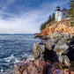 Beduke Jigsaw Puzzles For Adults 1000 Pieces Acadia National Park 1000 Piece Puzzle Age 14+ Thick Sturdy Cardboard Precise Interlocking Family Game