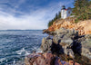 Beduke Jigsaw Puzzles For Adults 1000 Pieces Acadia National Park 1000 Piece Puzzle Age 14+ Thick Sturdy Cardboard Precise Interlocking Family Game