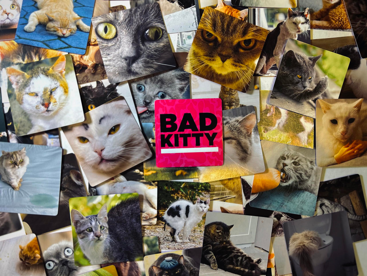 Bad Kitty Card Game + After Dark Expansion Set - Ultimate Adult Meme Game - Black - Model DYE-8601